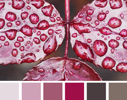Beautiful Inspiration for Color Templates >>> http://www.blog.injoystudio.com/beautiful-inspiration-for-color-templates/